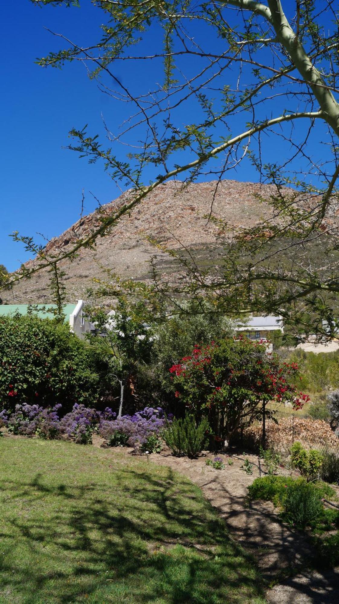Villa White Lily à Montagu Extérieur photo