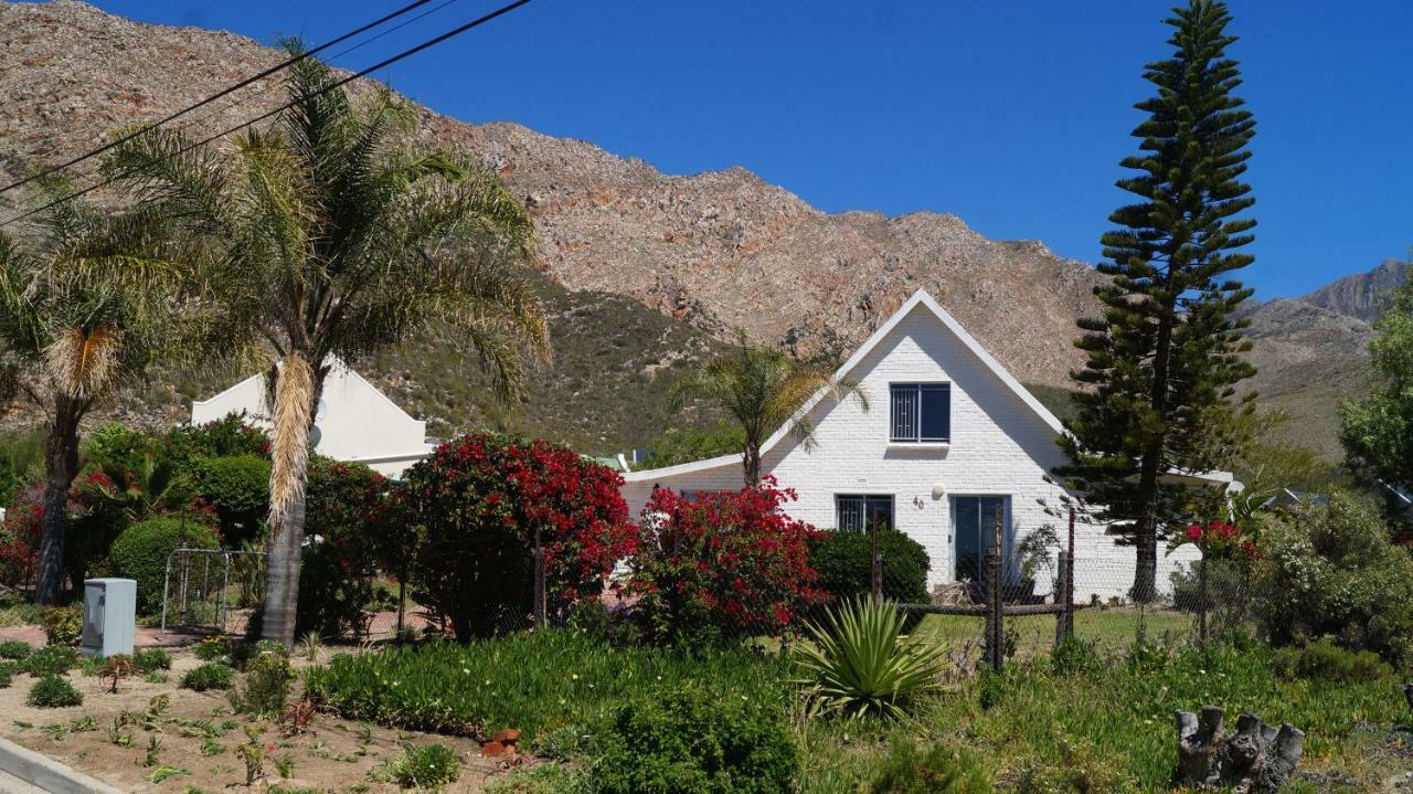 Villa White Lily à Montagu Extérieur photo